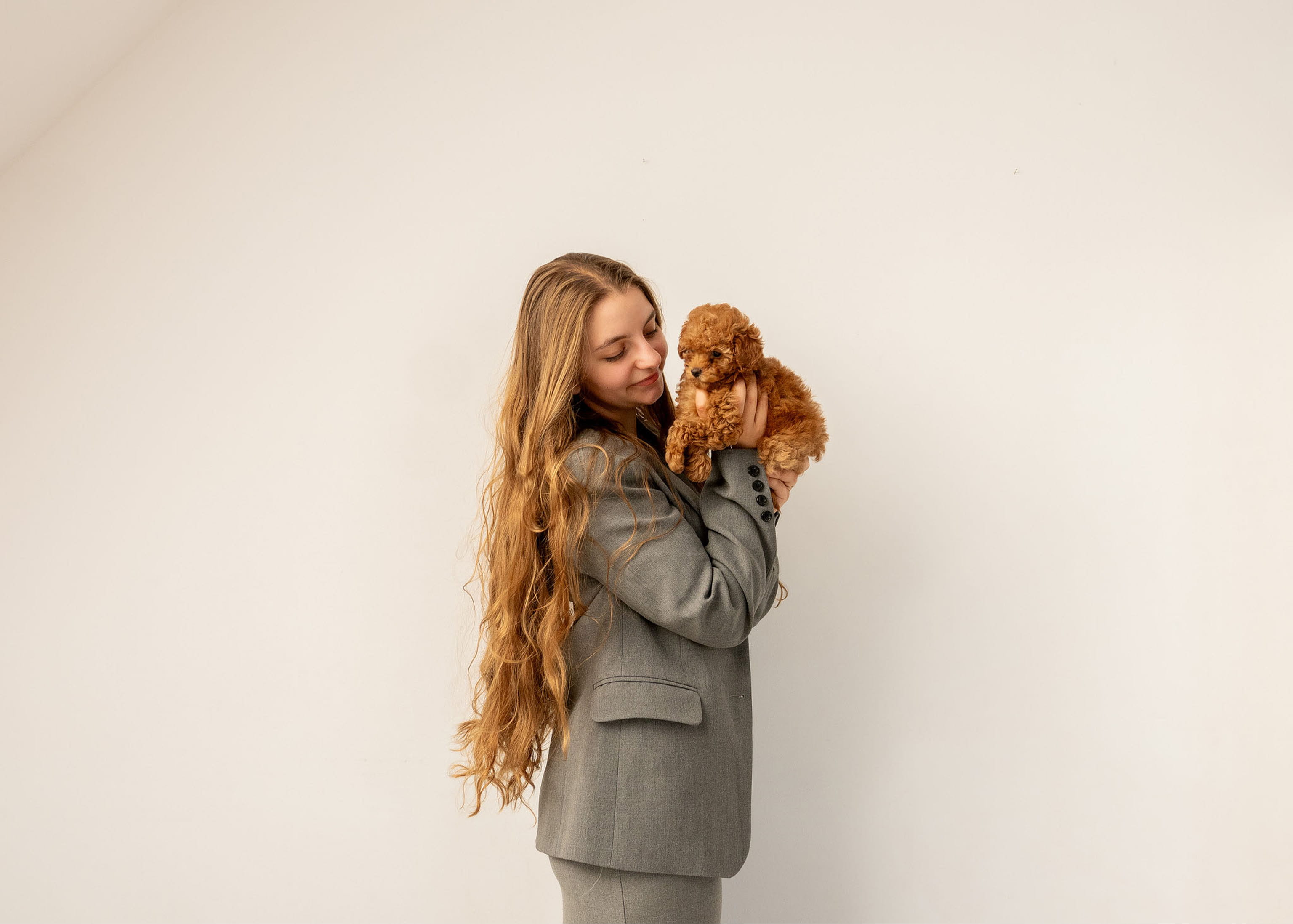 Woman in gray suit holding a small brown curly-haired puppy against a plain light background.
