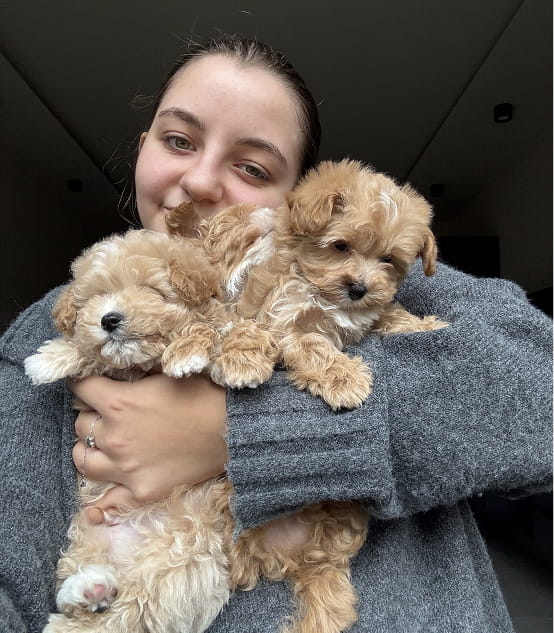Young woman smiling and holding two small fluffy tan puppies in a cozy grey sweater.