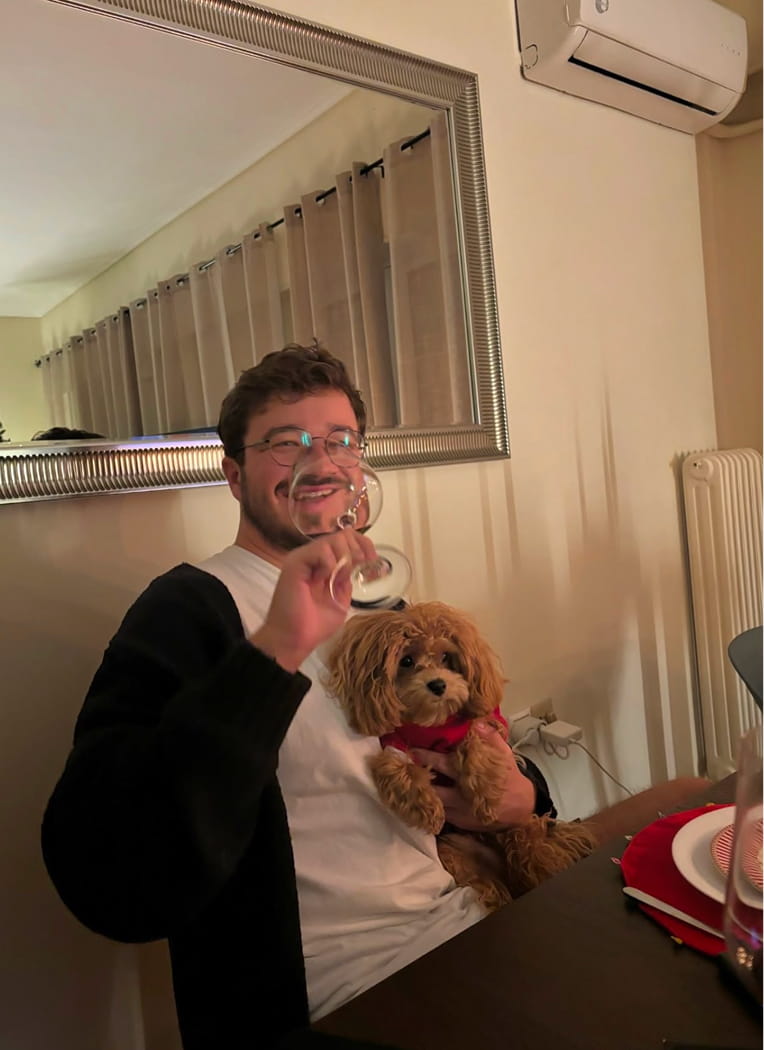 Maltipovska Club - puppies photo