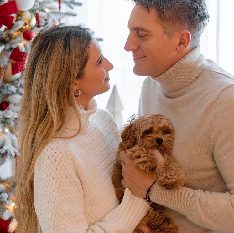 Maltipovska Club - puppies photo