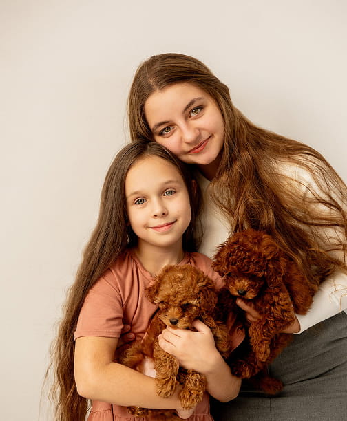 Two girls with long brown hair smiling, each holding a small brown poodle puppy.