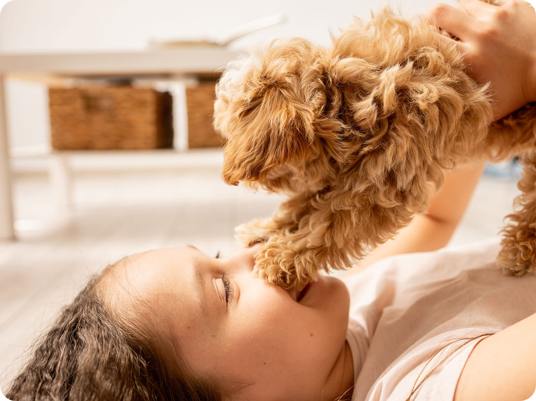 Maltipovska Club - puppies photo