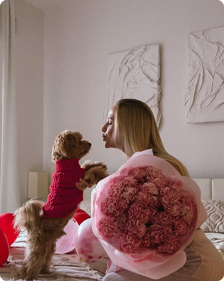 Maltipovska Club - puppies photo