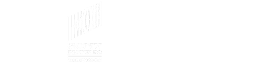 Logo du groupe Satisfaction avec un symbole stylisé à gauche et le texte "satisfaction GROUP" à droite.