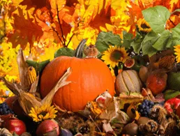 Harvesting Tax Losses In This Season