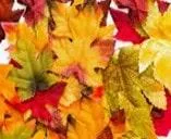 Medicare: De-mystifying Supplemental Plans