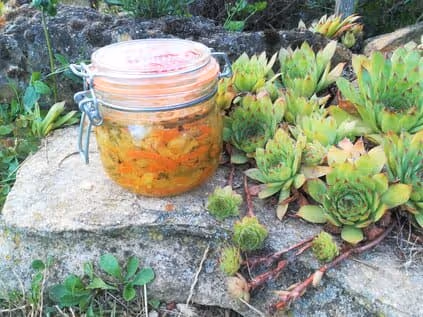 Achards de légumes lacto-fermentés