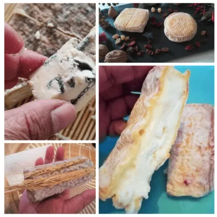 Fromages de kéfir de lait