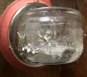 Plaques moisissures blanches