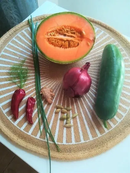 Ingrédients kaktugi melon concombre