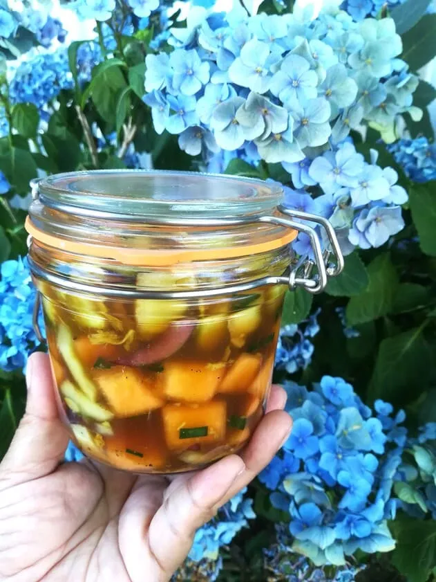 Kaktugi de melon et concombre