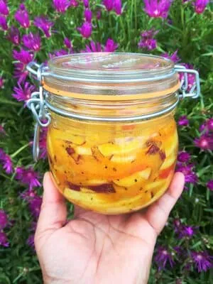 Chou rave et abricots 