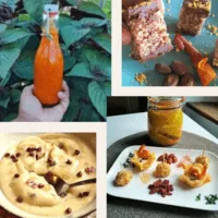 Différents aliments fermentés