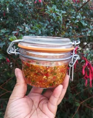 Pâte d'ail lacto-fermenté