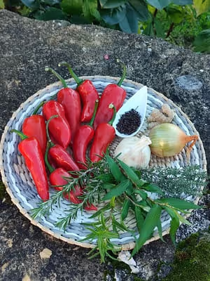 Ingrédients Piments d'Espelette lacto-fermentés