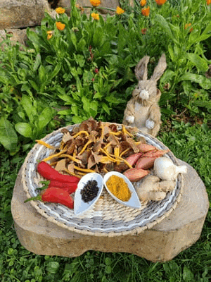 Chanterelles grises lacto-fermentées