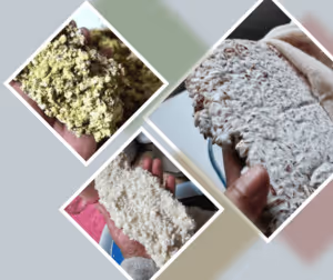 Différents koji maison