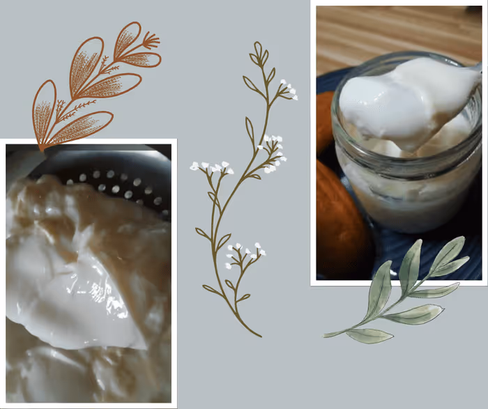 Laits fermentés traditionnels VS yaourt des temps modernes