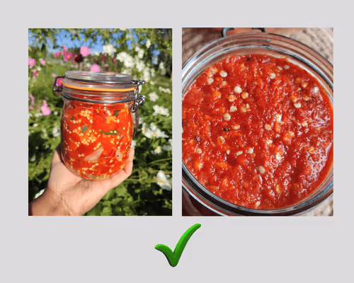 Bocaux à joints de légumes pour lacto-fermentation correctement remplis