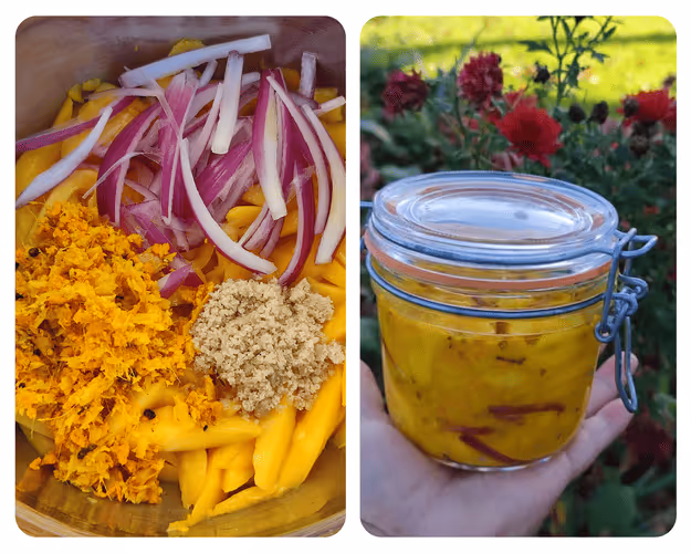 Achards lacto-fermentés de mangues