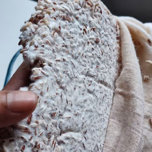 Koji de riz rouge complet de Madagascar