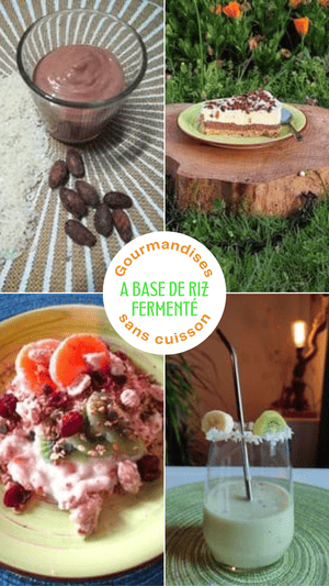 Gourmandises sans cuisson à base d'amazaké de riz