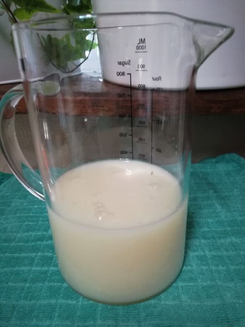 Lait d'amazaké de riz pour soins capillaires