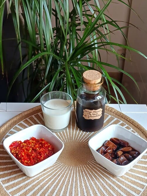 Ingrédients pour la sauce piquante crue à base d'aliments fermentés