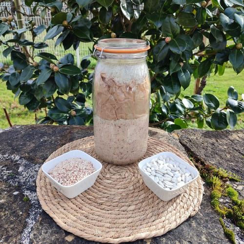 Bocal de miso correctement rempli prêt à être mis en fermentation