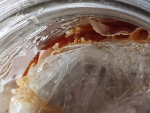 Tamari de miso qui tapisse le bocal de fermentation