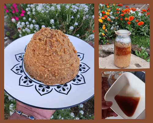 Mon miso de haricot Tarbais au koji de riz rouge de Madagascar et son tamari !