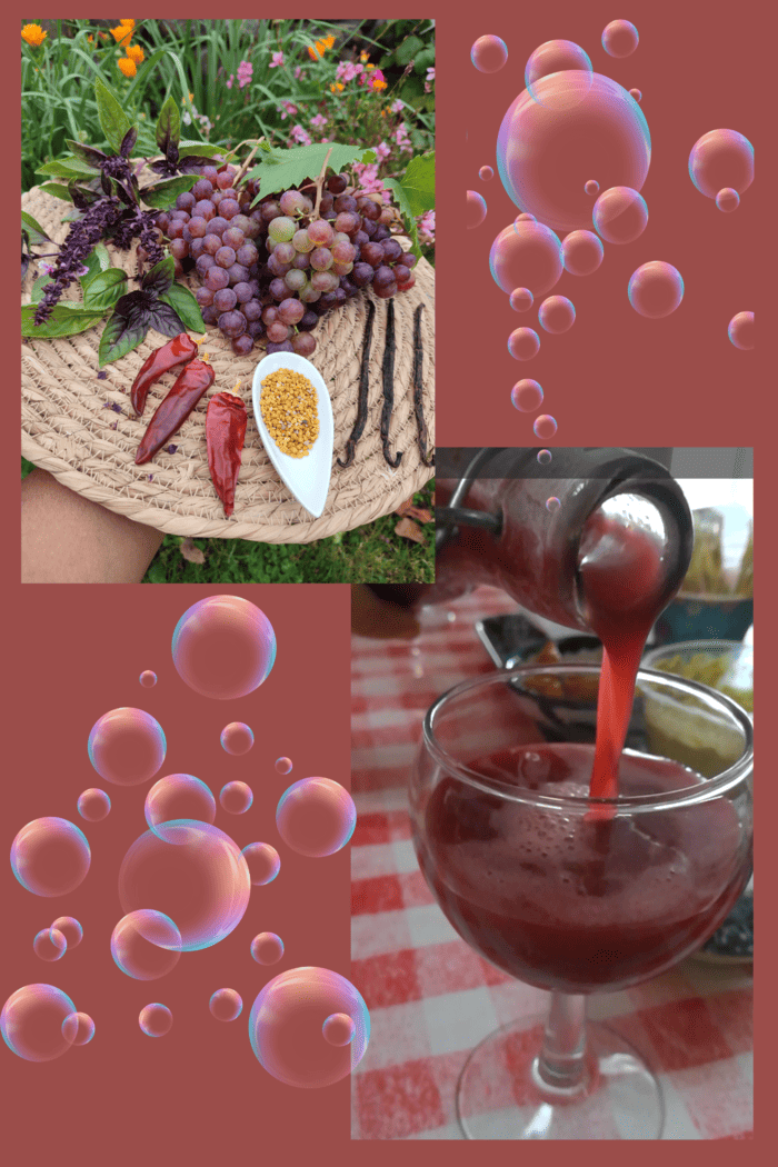 Pur jus de raisin frais lacto-fermenté