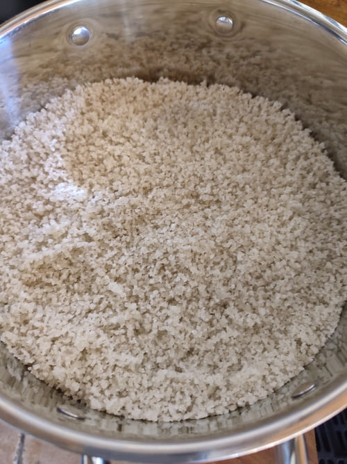 Ehine de porc noir de Bigorre dans son nid de sel