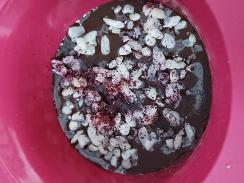 Palet de chocolat cru au koji de riz et à la poudre de Bissap dans son moule