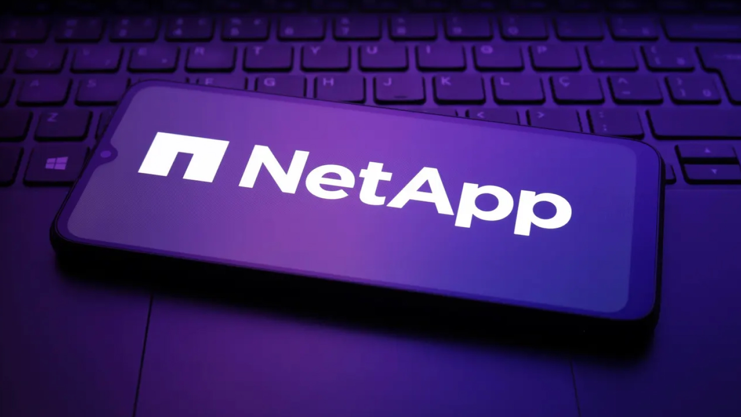 NetApp case study preview