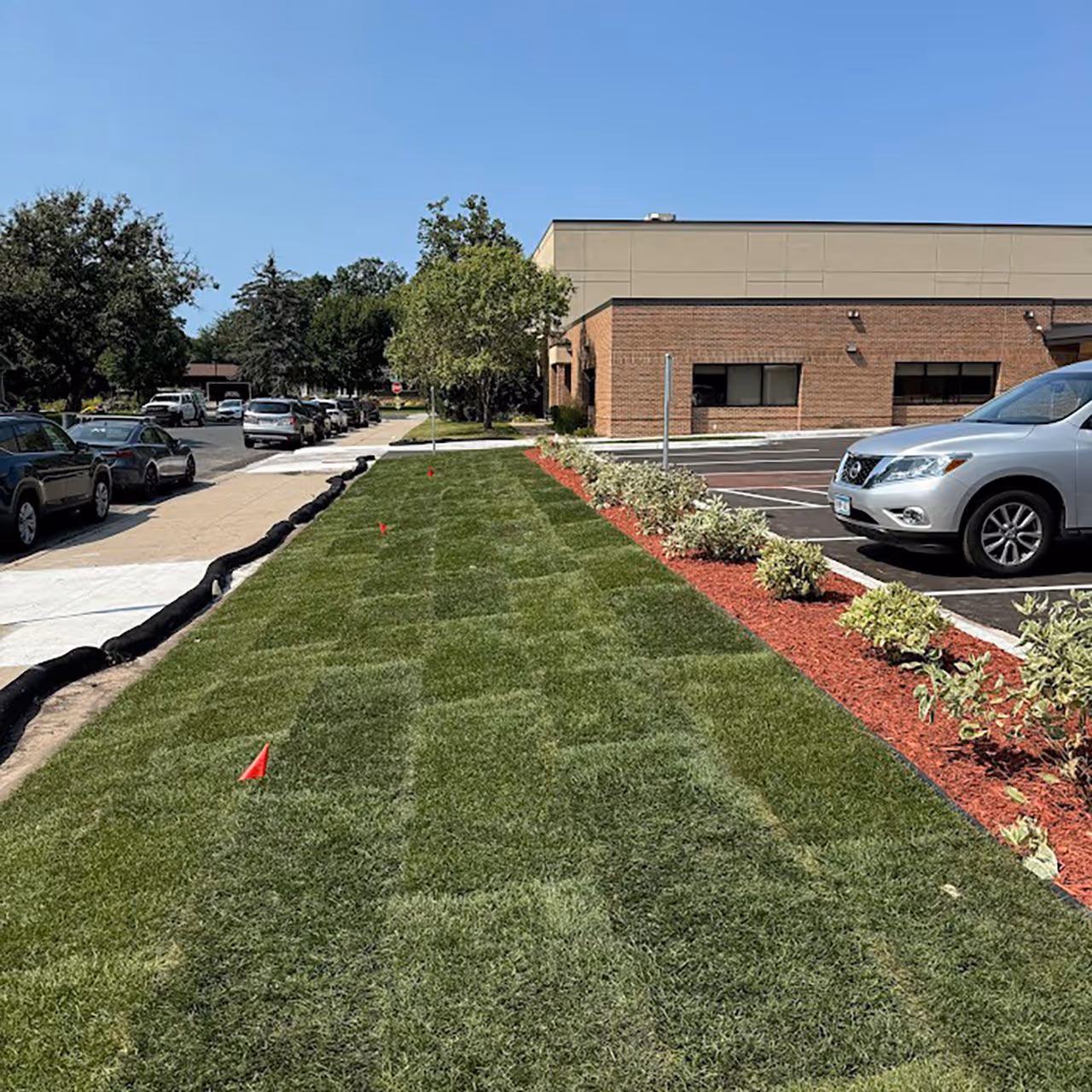 freshly mowed striped in commercial property by sota landscaping 