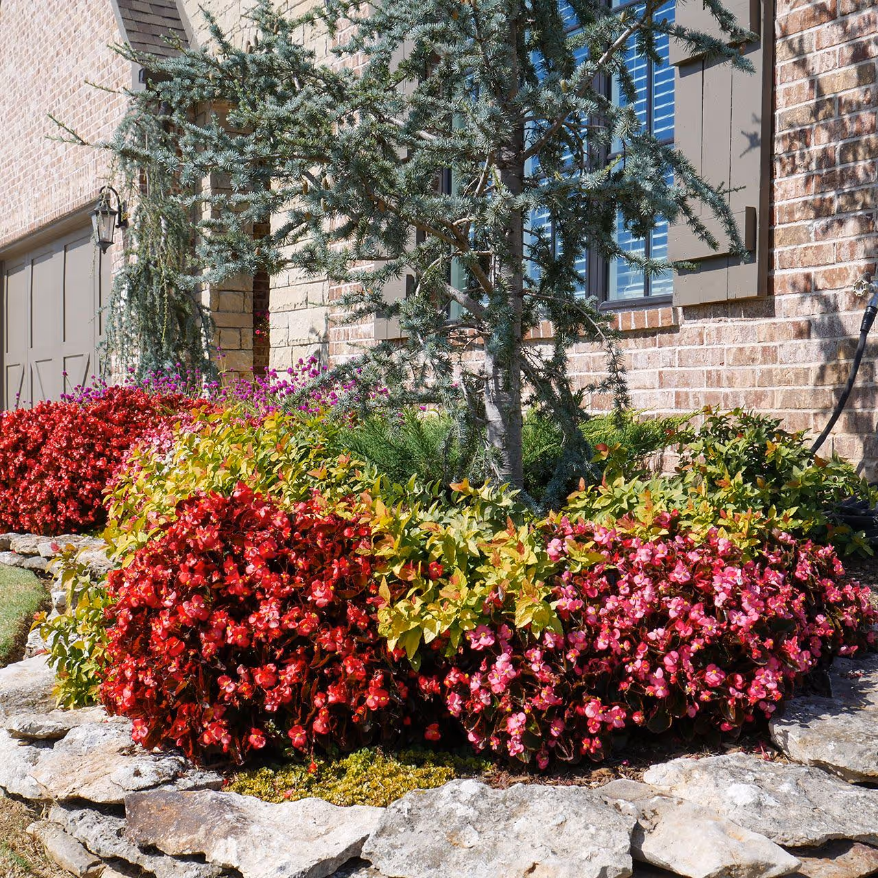 Expert hardscaping and plant installation by TnT Premier Landscape near me