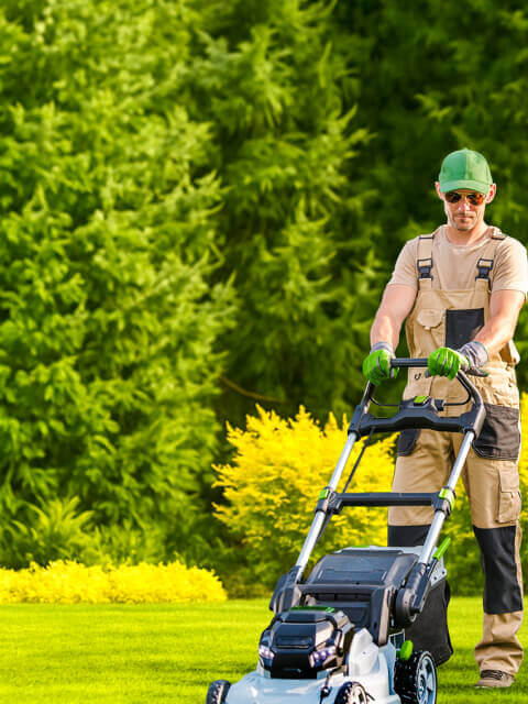 Photography of a professional mowing a lawn in a residential neighborhood