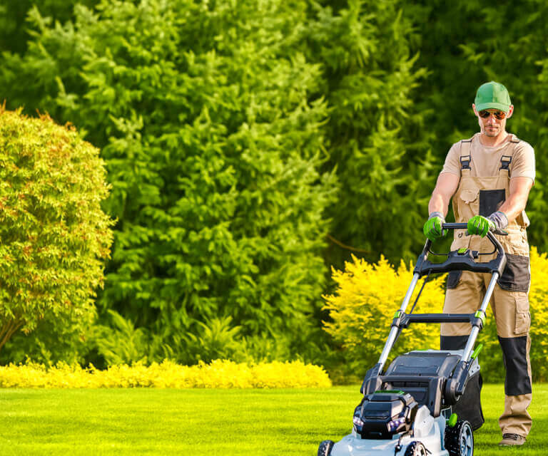 Photography of a professional mowing a lawn in a residential neighborhood