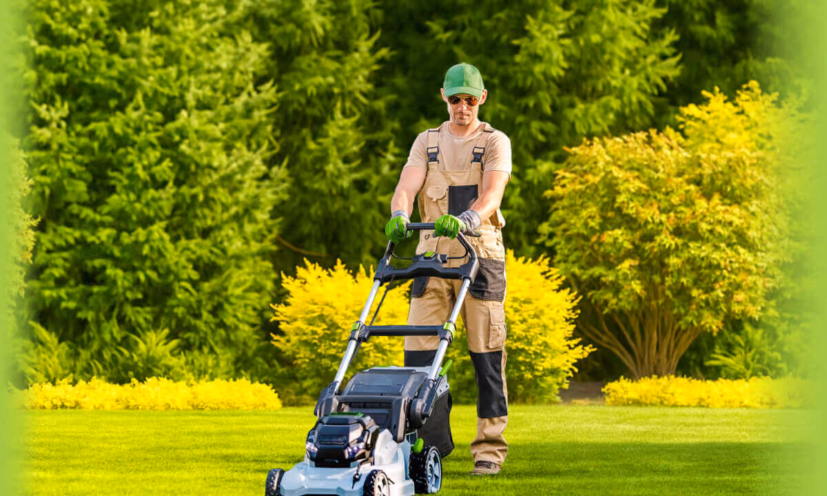 Photography of a professional mowing a lawn in a residential neighborhood