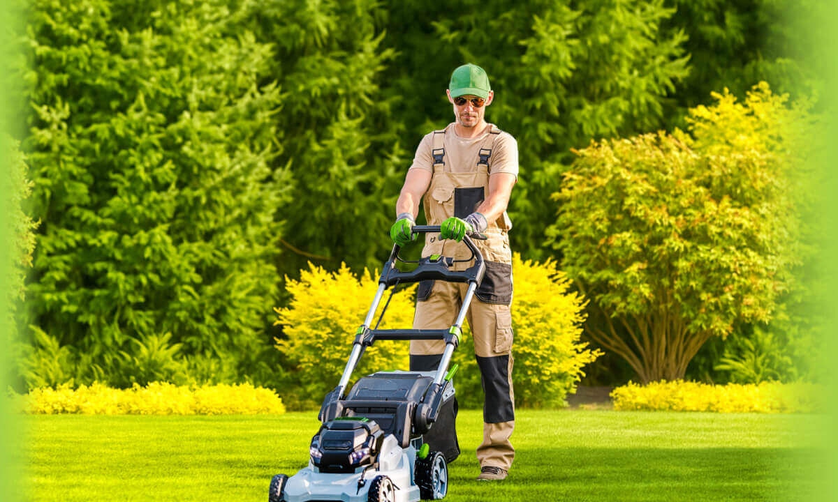 Photography of a professional mowing a lawn in a residential neighborhood