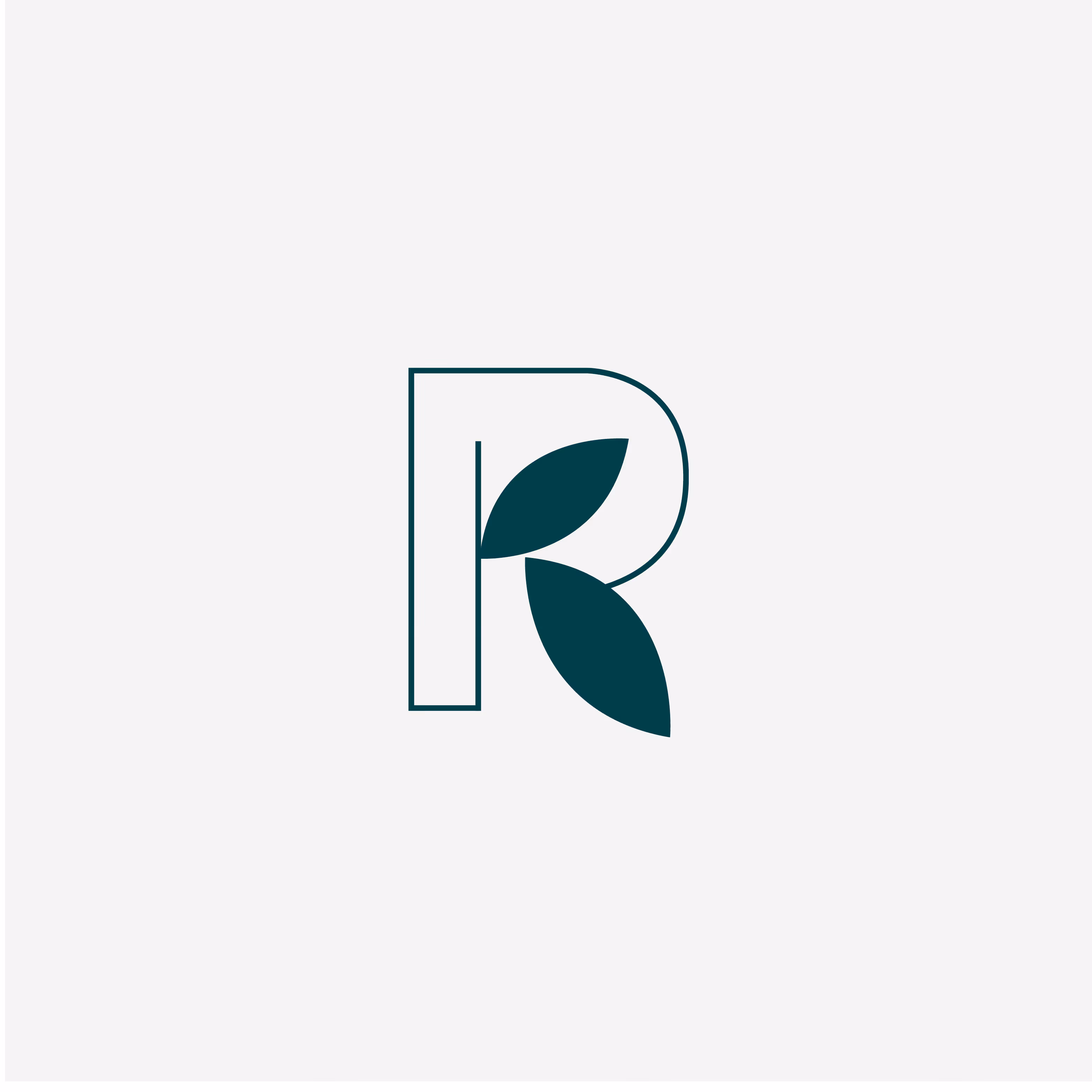 Roland Koch Transporte: Über 10 Jahre Erfahrung mit Blumen und Pflanzen. Reduziertes Logo und Website, die einen Arbeitstag erlebbar macht.