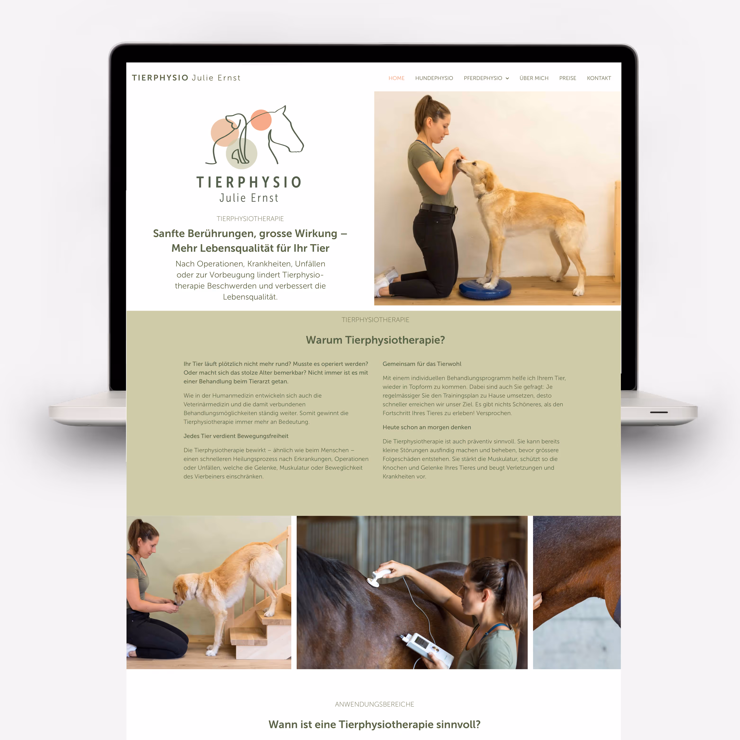 Tierphysio Julie Ernst: Sanftes Branding mit Logo, Flyer, Website und Pferdeanhänger-Beschriftung. Hunde und Pferde lernen wieder laufen.