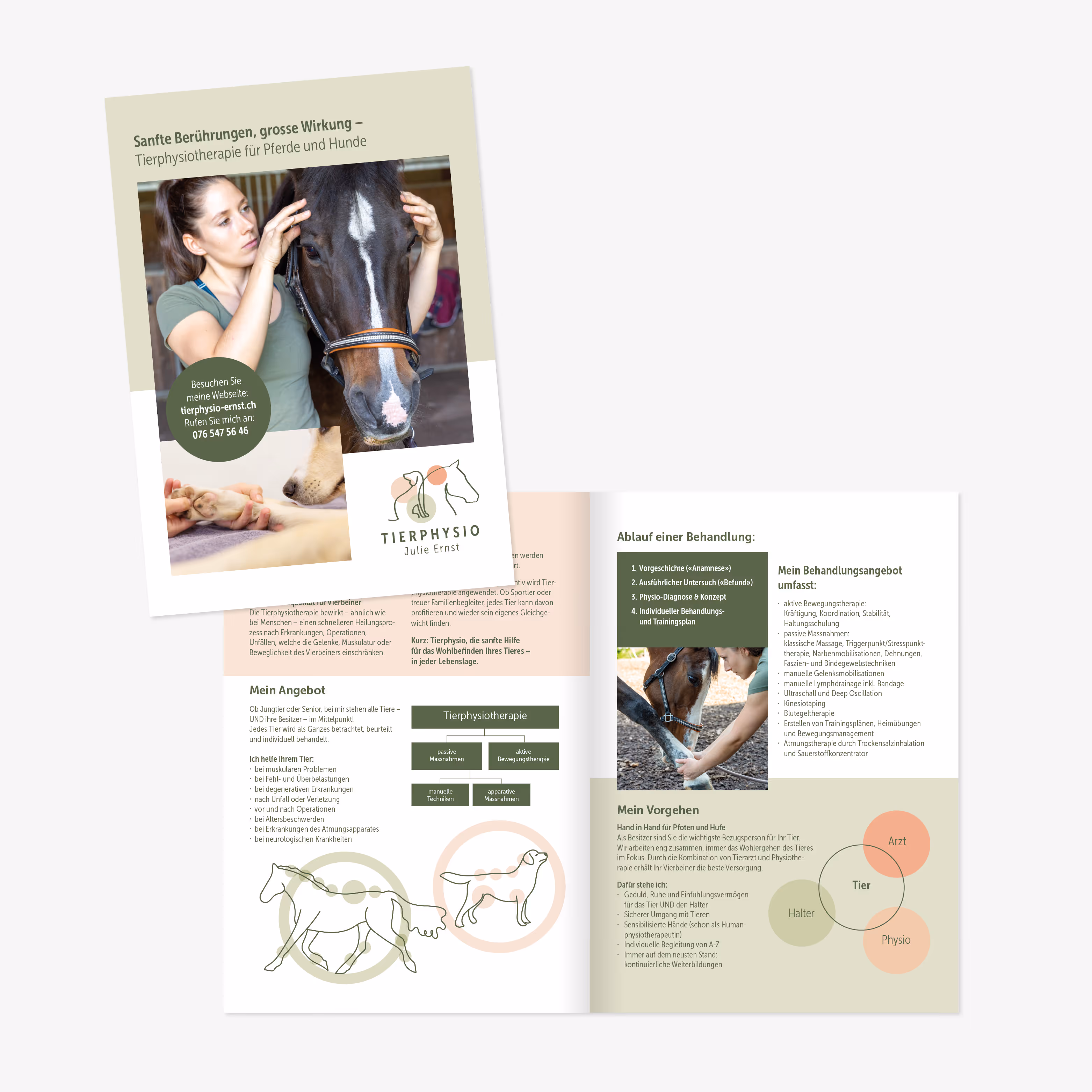 Tierphysio Julie Ernst: Sanftes Branding mit Logo, Flyer, Website und Pferdeanhänger-Beschriftung. Hunde und Pferde lernen wieder laufen.