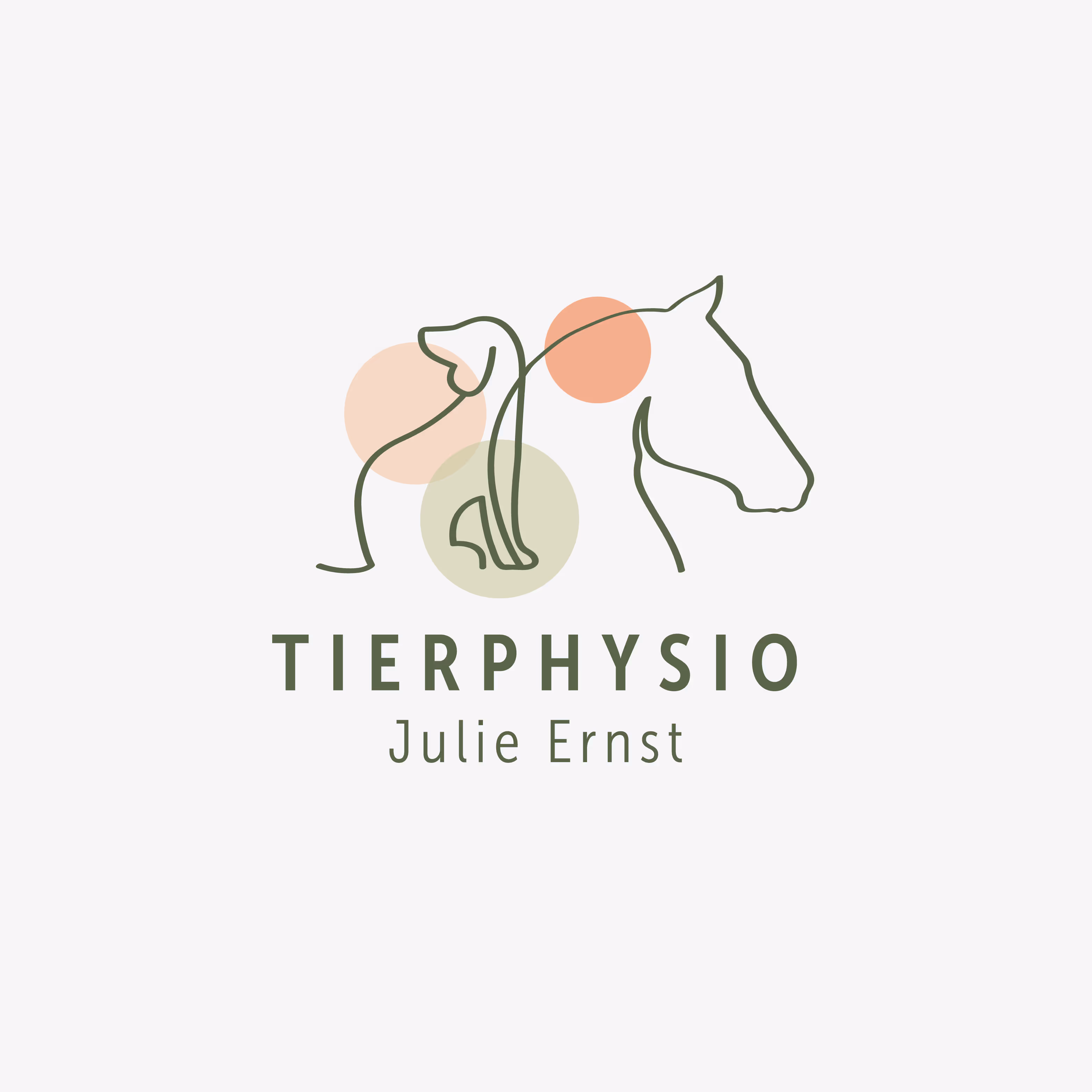 Tierphysio Julie Ernst: Sanftes Branding mit Logo, Flyer, Website und Pferdeanhänger-Beschriftung. Hunde und Pferde lernen wieder laufen.