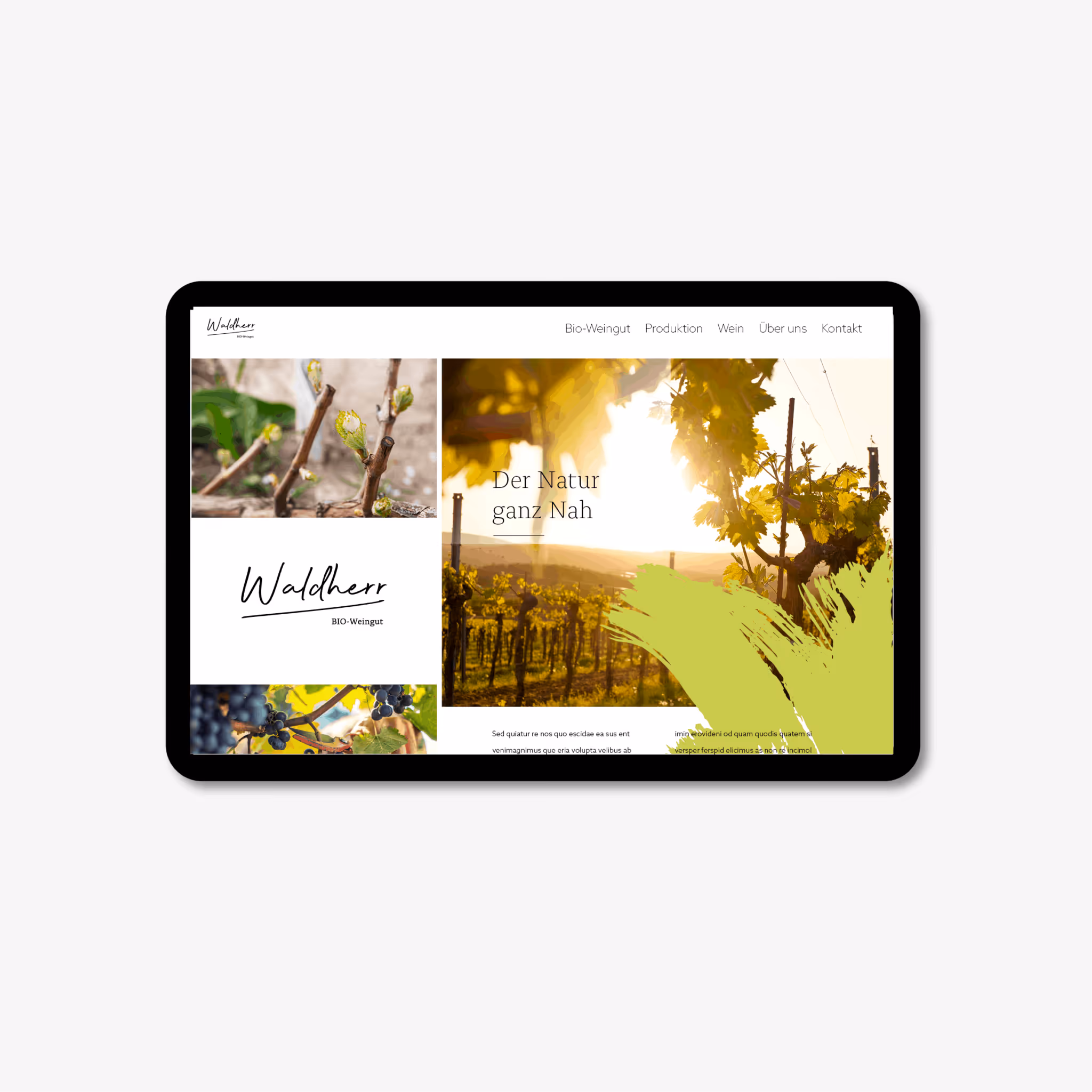 Waldherr Bio-Weingut in Zellerndorf: Leichtes Logo mit schwungvoller Weinknospe – auf Etiketten, Flyern und Briefschaften. Natürlich wie der Wein.