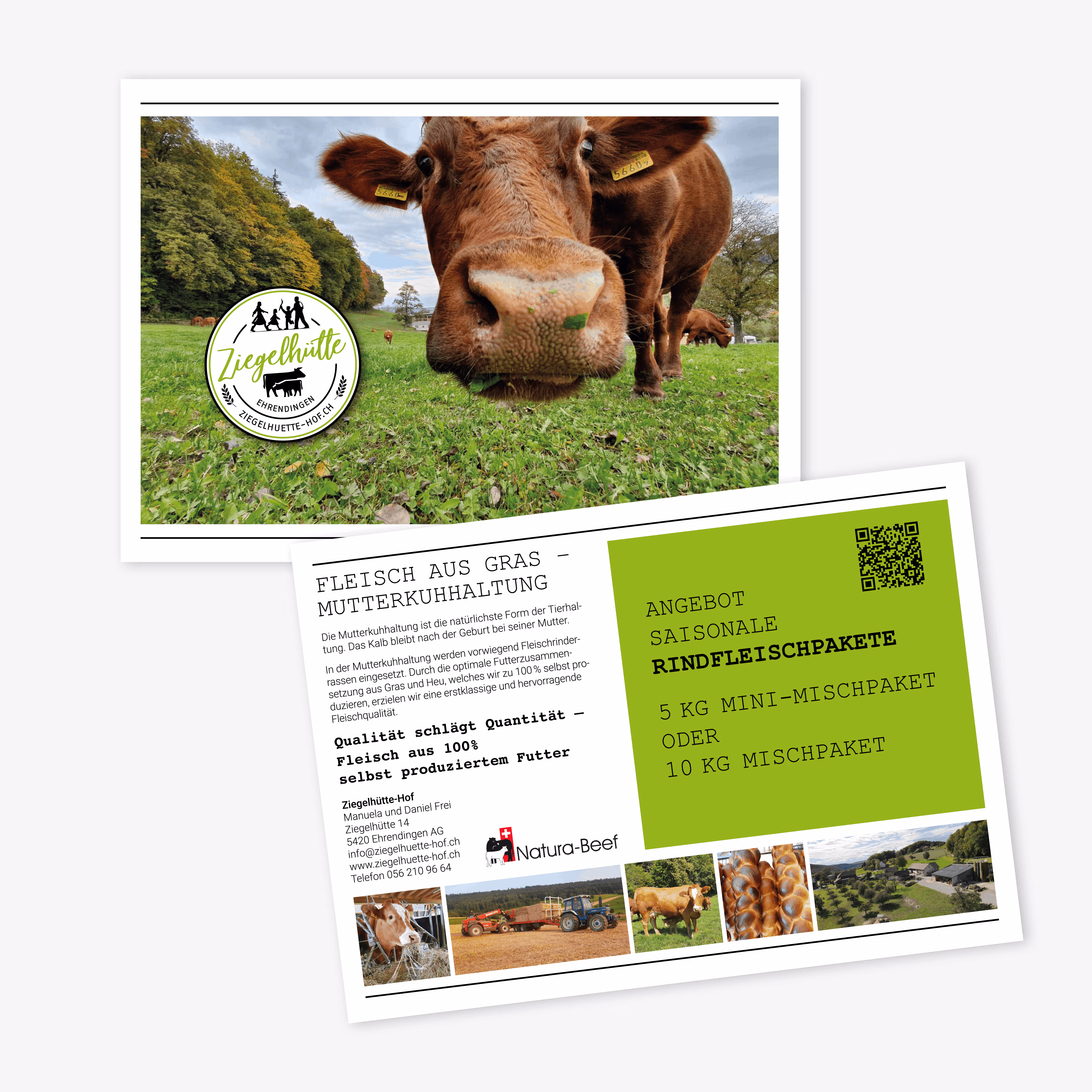 Bauernhof Ziegelhütte-Hof Ehrendingen: Logo, Briefschaft, Fleischverpackungs-Kleber und Website. Mensch, Tier und Hof in einem Auftritt.