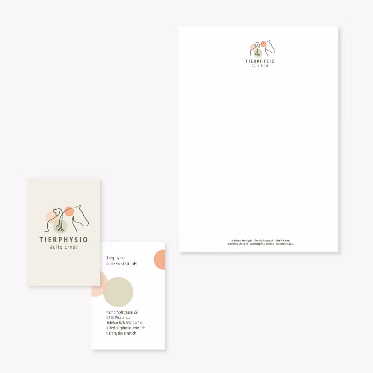 Tierphysio Julie Ernst: Sanftes Branding mit Logo, Flyer, Website und Pferdeanhänger-Beschriftung. Hunde und Pferde lernen wieder laufen.