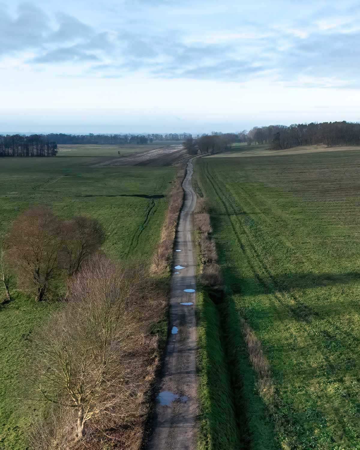 Langer, gerader Feldweg mit Pfützen zwischen winterlichen Feldern, der am dunstigen Horizont verschwindet.