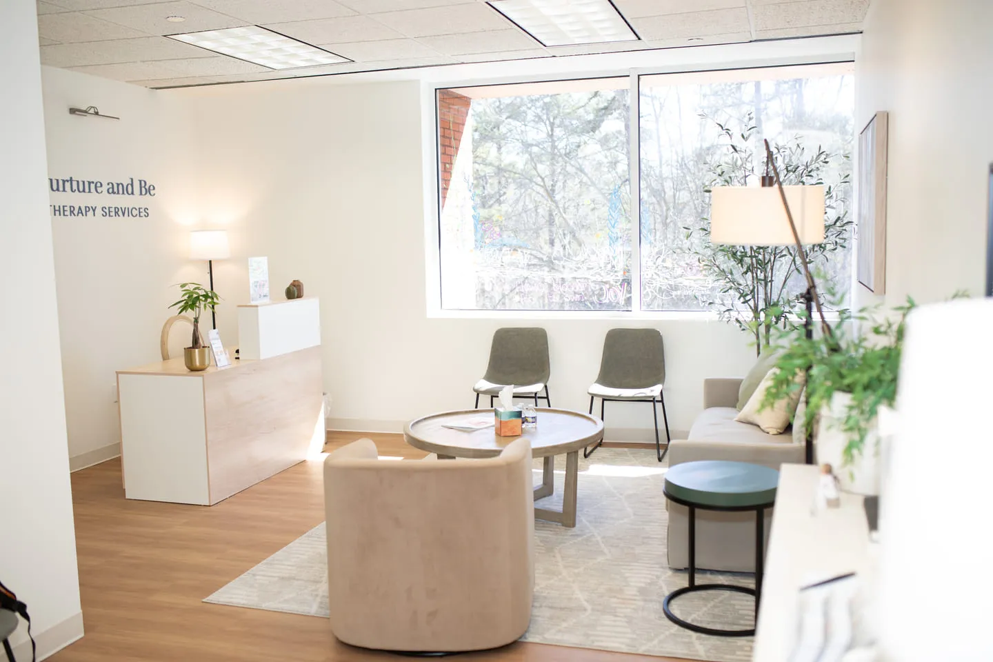 Virtual Therapy Georgia